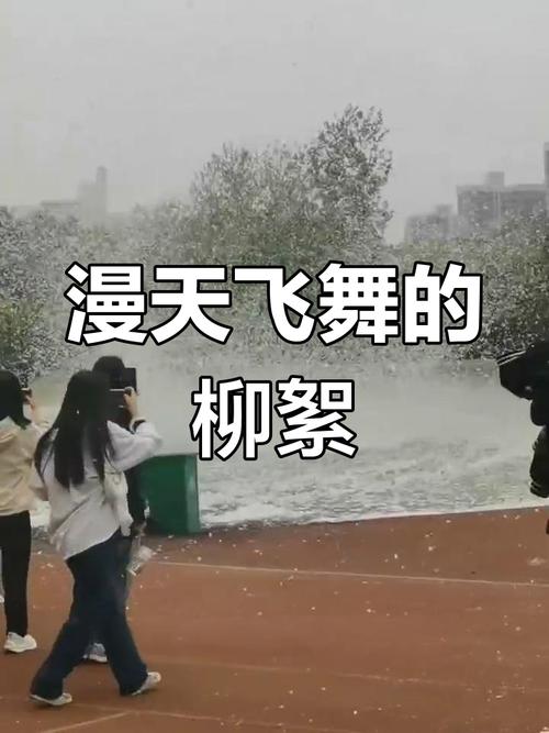 地方关注 第14页