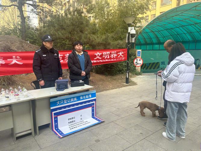 2025全年免费资料大全和600一节课教狗如厕与600一节课教狗如厕没学会钱也不退