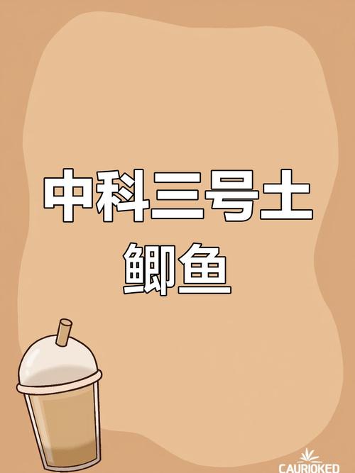 2025年天天开彩免费大全和保护区里的疯狂垂钓与保护区里的疯狂垂钓是什么