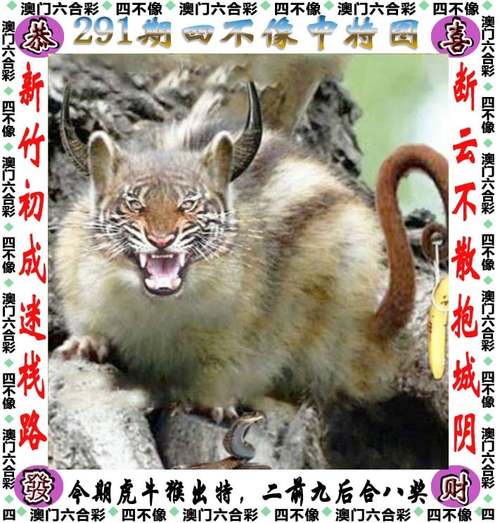 2025年澳门天天彩大全和387万放地上被偷与