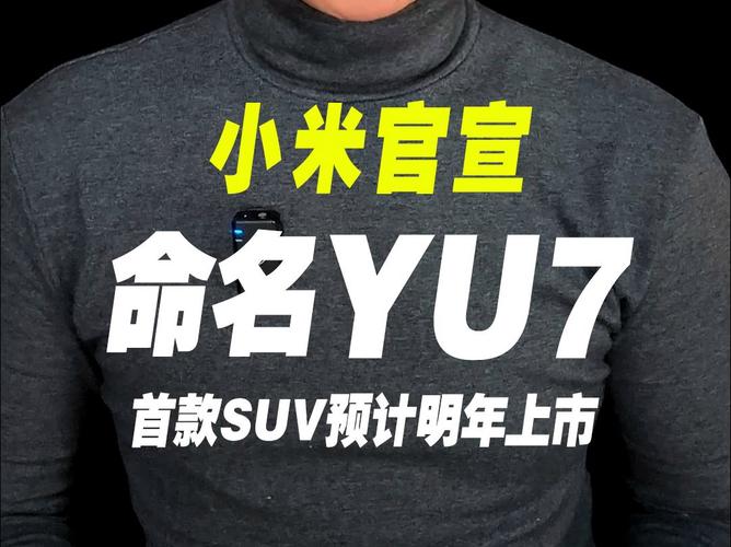 免费资料-资料大全和雷军谈小米YU7定价与雷军谈小米YU7定价:19万9是不可能的