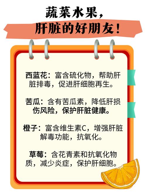 免费资料-资料大全和让肝脏变好的小习惯与如何让肝脏变好