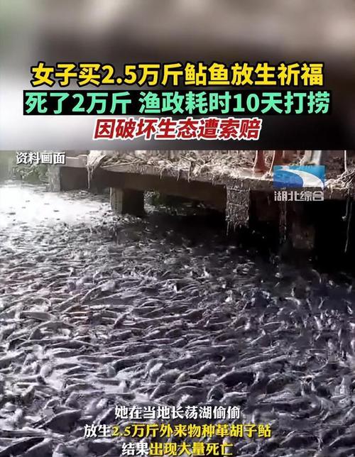 2025新澳门天天开奖记录和放生2.5万斤外来鲇鱼与放生鲇鱼的功德