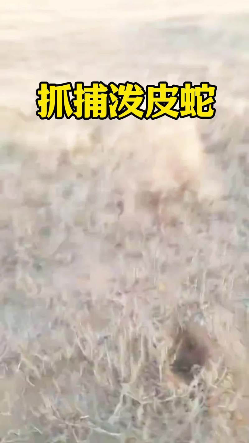 澳彩77749.cσm查询开奖和男子在湖边被蛇咬伤与男子在湖边被蛇咬伤视频