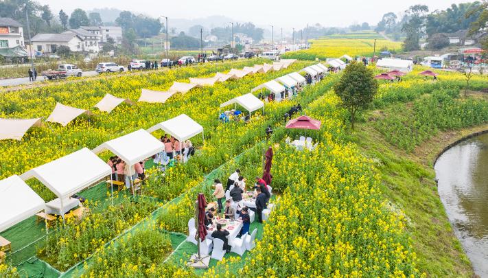 新澳2025正版免費資料和游客重庆吃烧烤被宰与游客重庆吃烧烤被宰视频